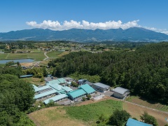 社会福祉法人からし種の会