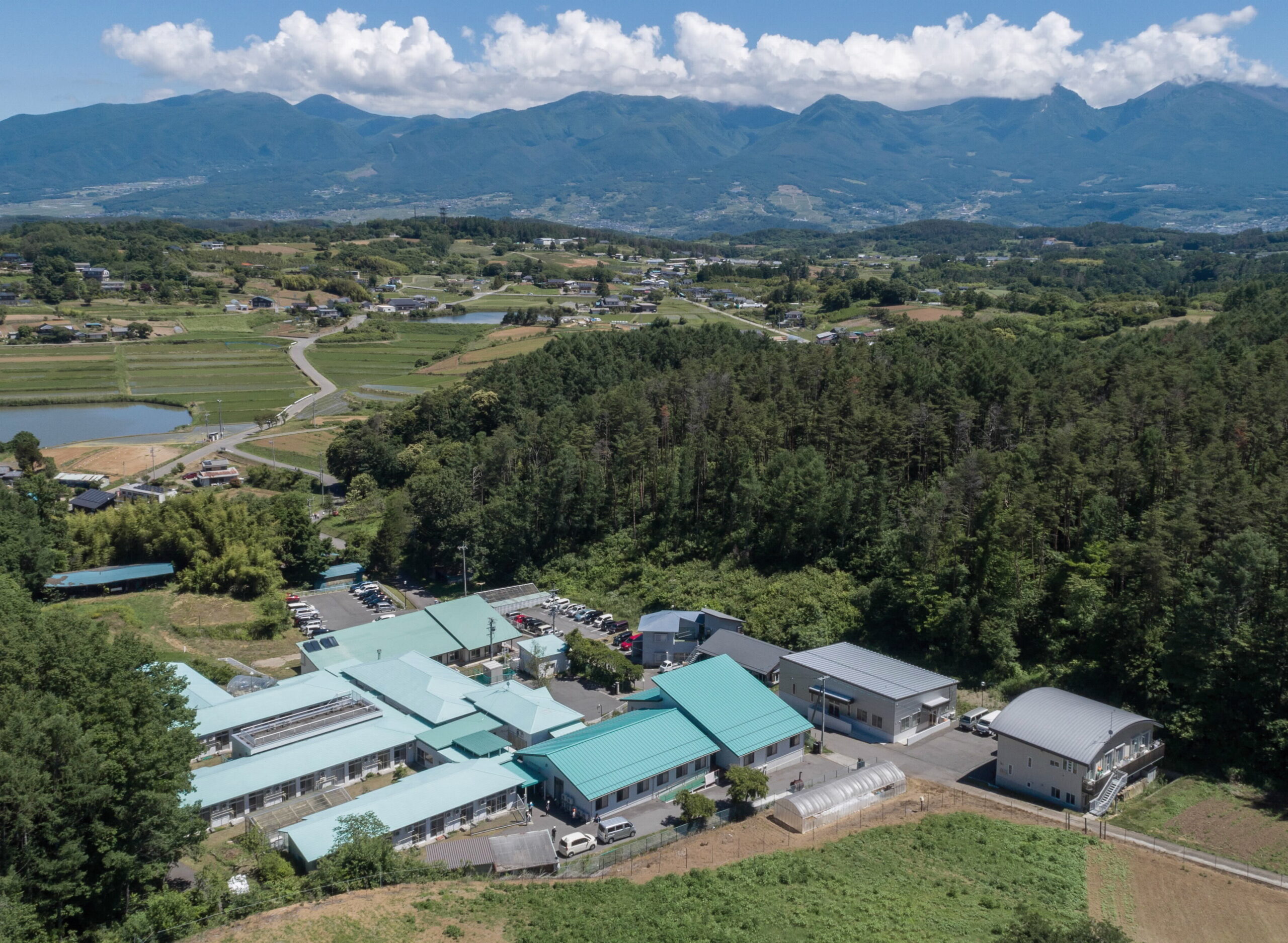 社会福祉法人からし種の会