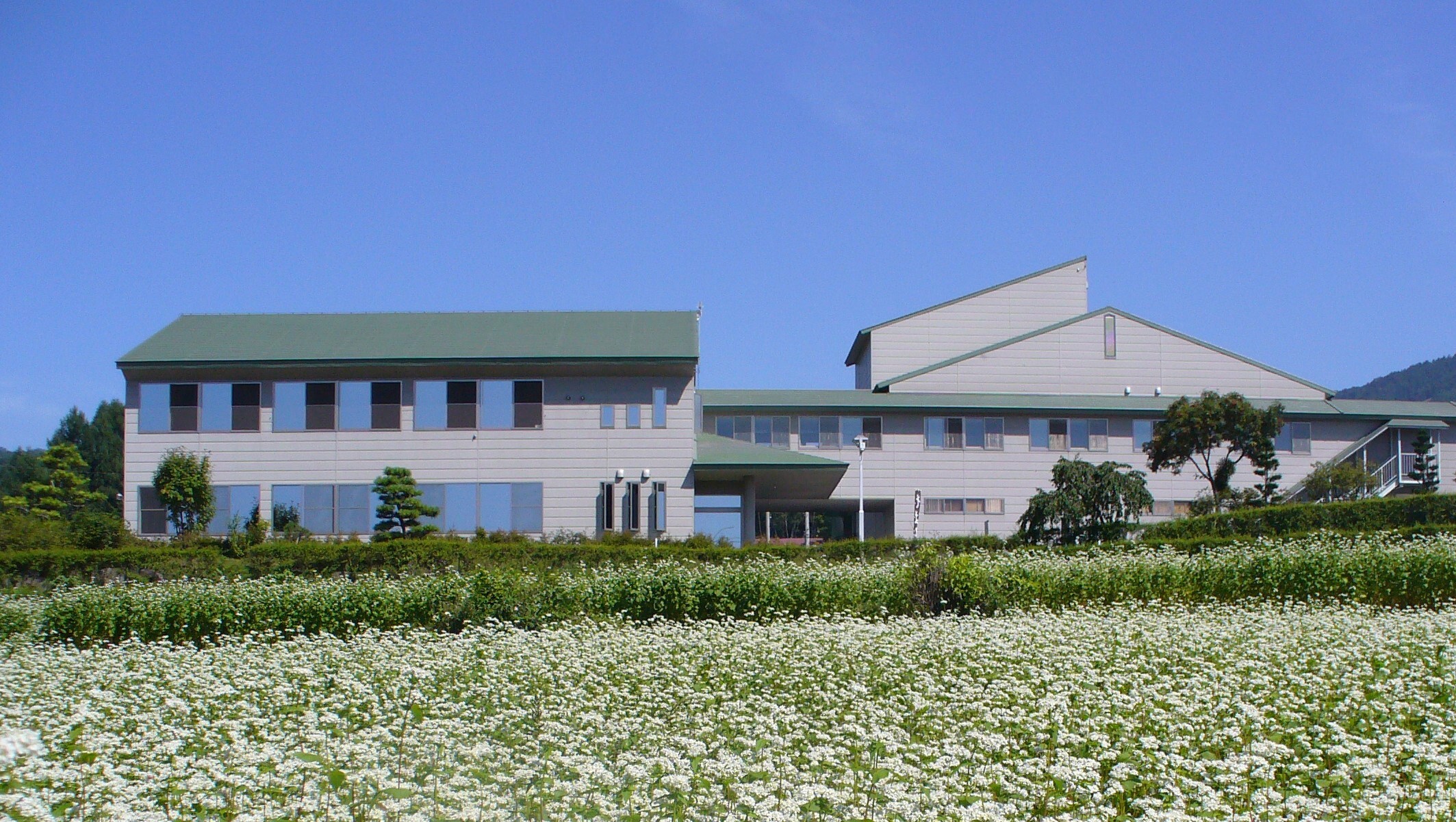 株式会社おびなた