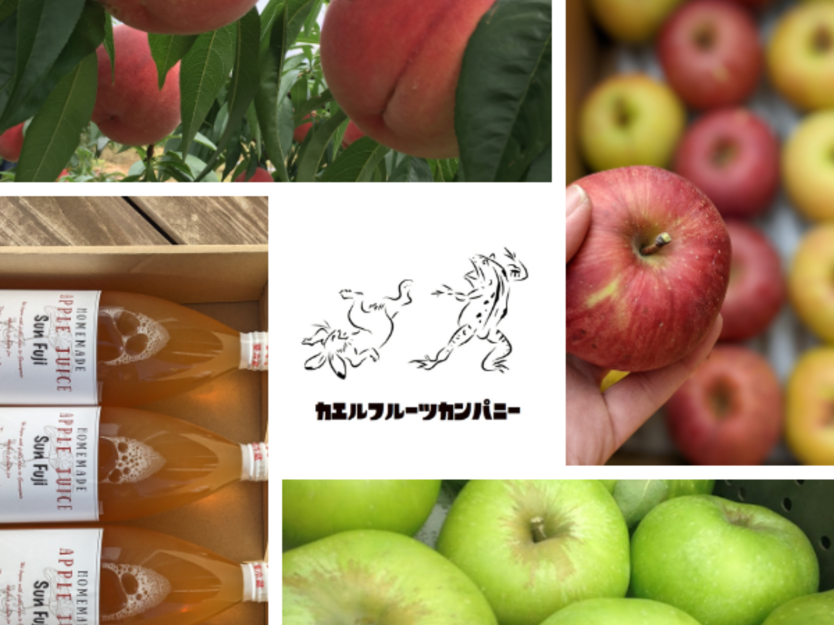 カエルフルーツ合同会社